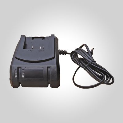 Chargeur 230 v pour pompe 10030773